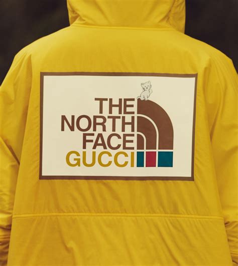 the north face gucci billboard|gucci x north face tracksuit.